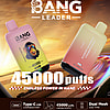 Promotional image for the Bang Leader vaping device showcasing two models, one featuring a chimpanzee logo and the other flavor text, emphasizing '45000 puffs' with a Type-C charging port and dual mesh coil type.