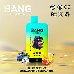Promotional image featuring the Bang Leader vape device with 45,000 puffs, displaying flavors like blueberry ice, strawberry, and banana, alongside regulatory icons and fruit graphics.