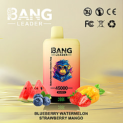 Vape device labeled 'Bang Leader' with 45000 puffs displayed alongside illustrations of watermelon, blueberries, strawberries, and mango, reflecting the mentioned flavors.