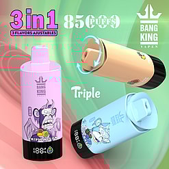 Promotional graphic for Bang King disposable e-cigarette featuring a 3-in-1 adjustable flavor system, 8500 puffs, and vibrant designs including Triplemelon flavor depicted with colorful illustrations.