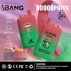 Promotional image showcasing S.Bang brand disposable vape devices with 80,000 puff capacity, featuring triple fruit flavors, Type-C charging, and dual mesh technology, set against a colorful abstract background.