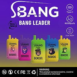 Promotional display for SBang Bang Leader brand disposable vape featuring various colorful designs and a note indicating '80000 puffs' alongside warnings about nicotine usage and recycling icons.
