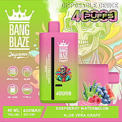 Promotional image of the Bang Blaze disposable vaping device in a pink and green design featuring artwork with text highlighting features like a 650mAh battery, 40ml volume, and flavors including Raspberry Watermelon and Aloe Vera Grape.