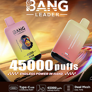 Promotional image for the Bang Leader vaping device showcasing two models, one featuring a chimpanzee logo and the other flavor text, emphasizing '45000 puffs' with a Type-C charging port and dual mesh coil type.